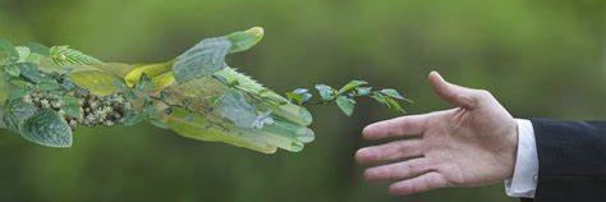 hinh-anh-chuyen-doi-xanh-la-gi