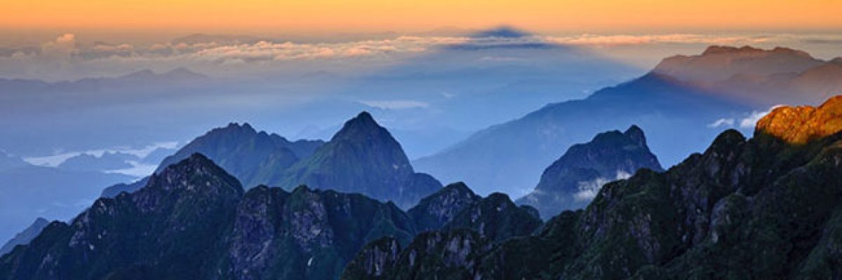 Hình ảnh Mùa hè muôn màu cùng Lam Pham Construction (LPC) 3